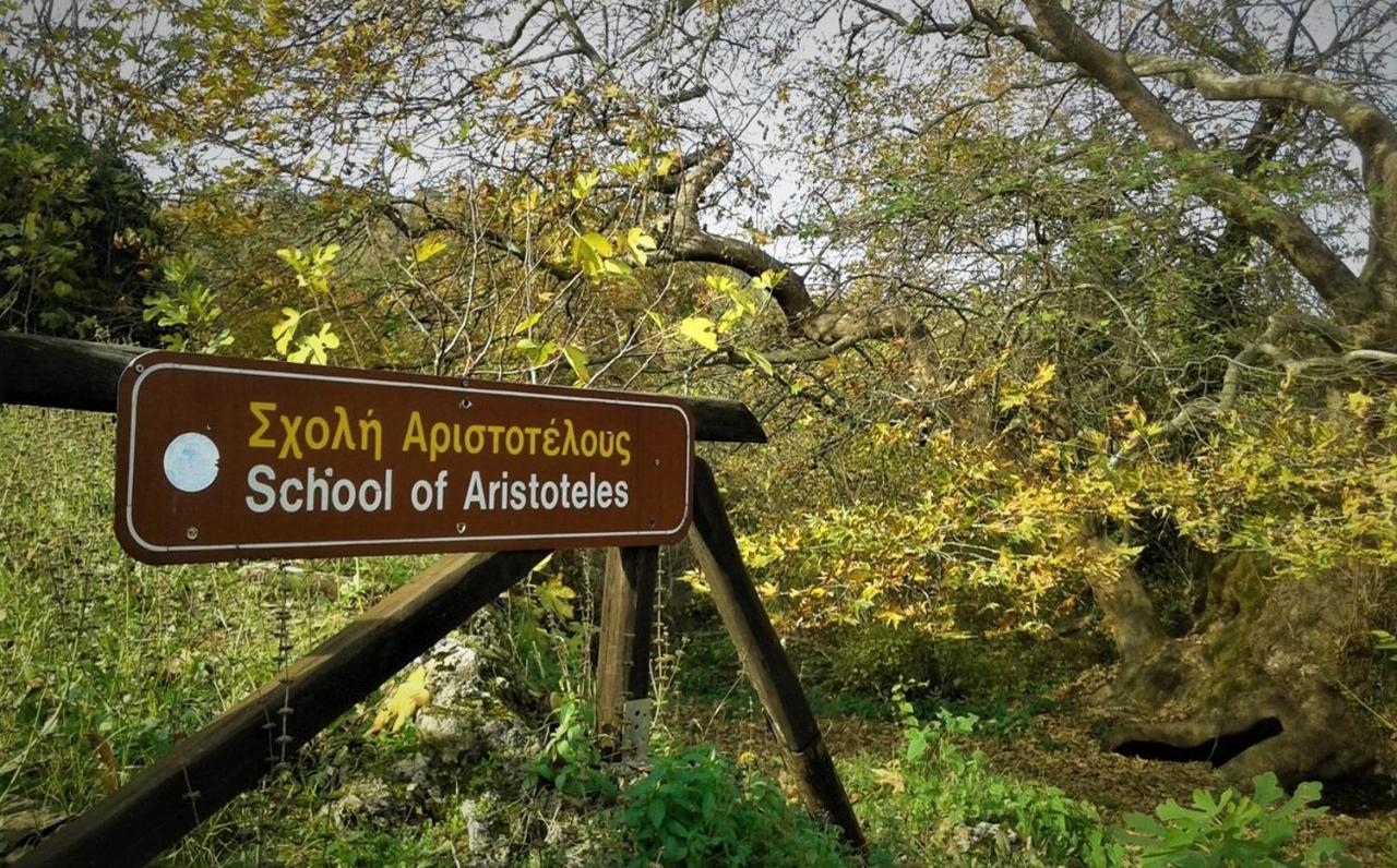 Mylos Arkochorion ภายนอก รูปภาพ